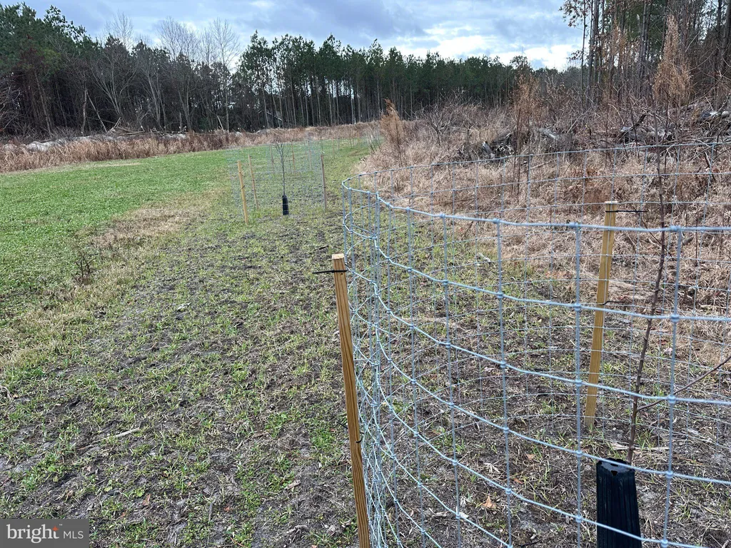 Additional image 3 of Owens Road, Greenwood, DE 19950