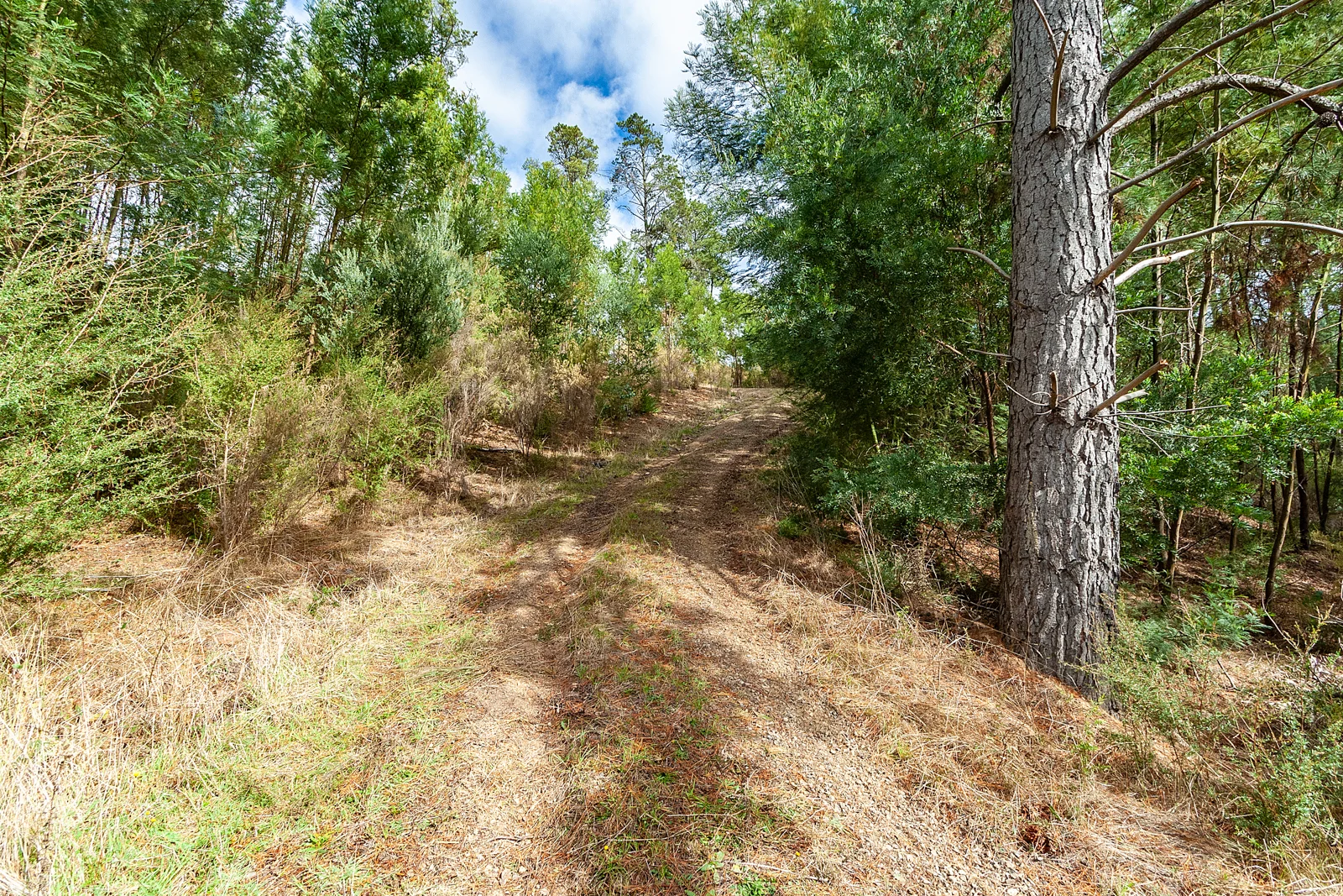 Additional image 16 of 158 Taylor Bay Right Arm Road, Taylor Bay VIC 3713