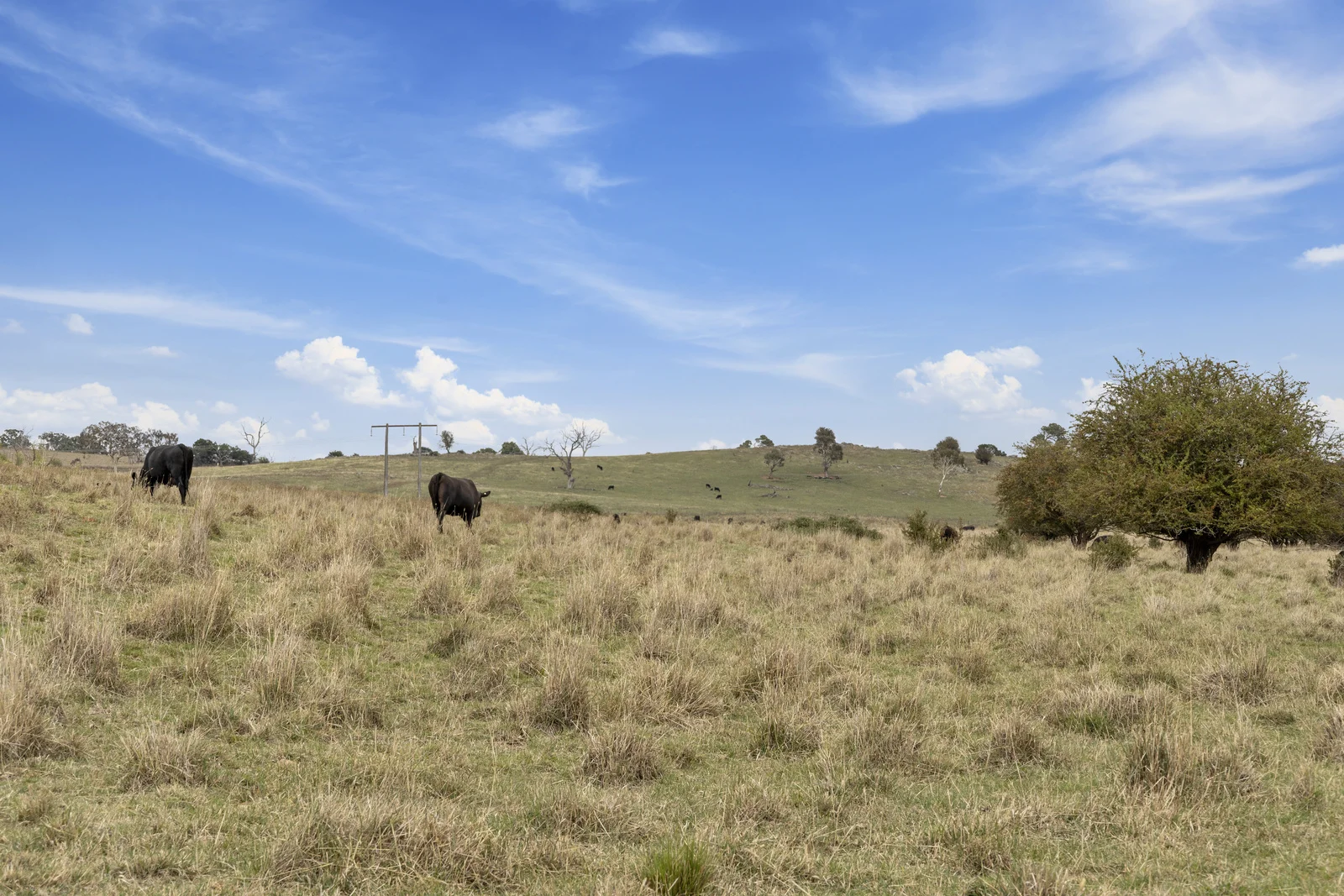 Additional image 9 of Lot 15 & 16 Barton Highway, Murrumbateman NSW 2582