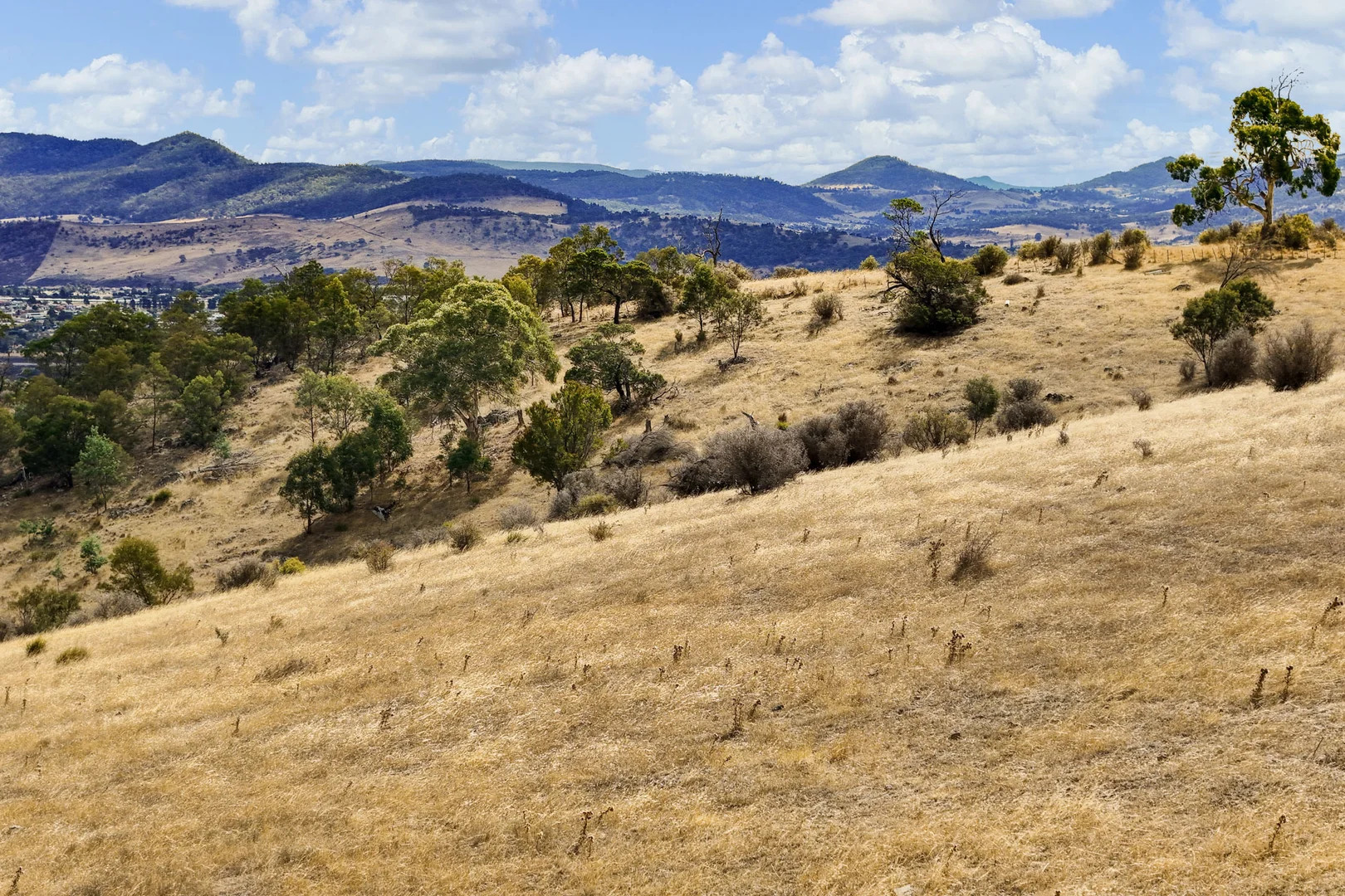 Additional image 21 of 210 Briggs Road, Honeywood TAS 7017