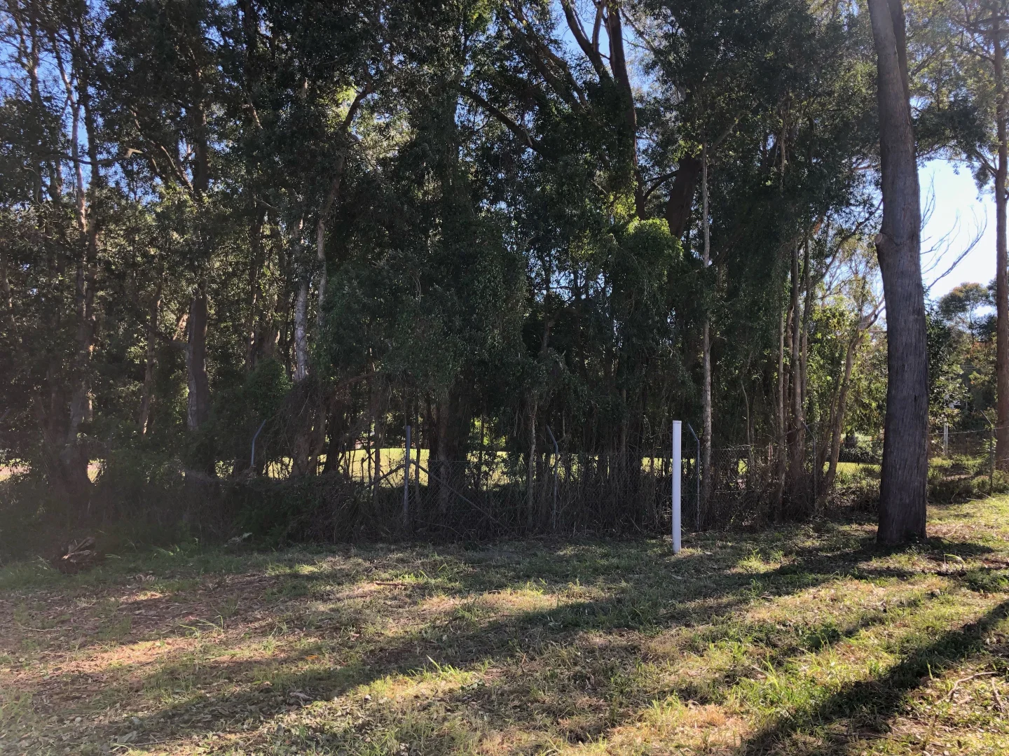 Additional image 5 of 52c Salamander Way, Salamander Bay NSW 2317