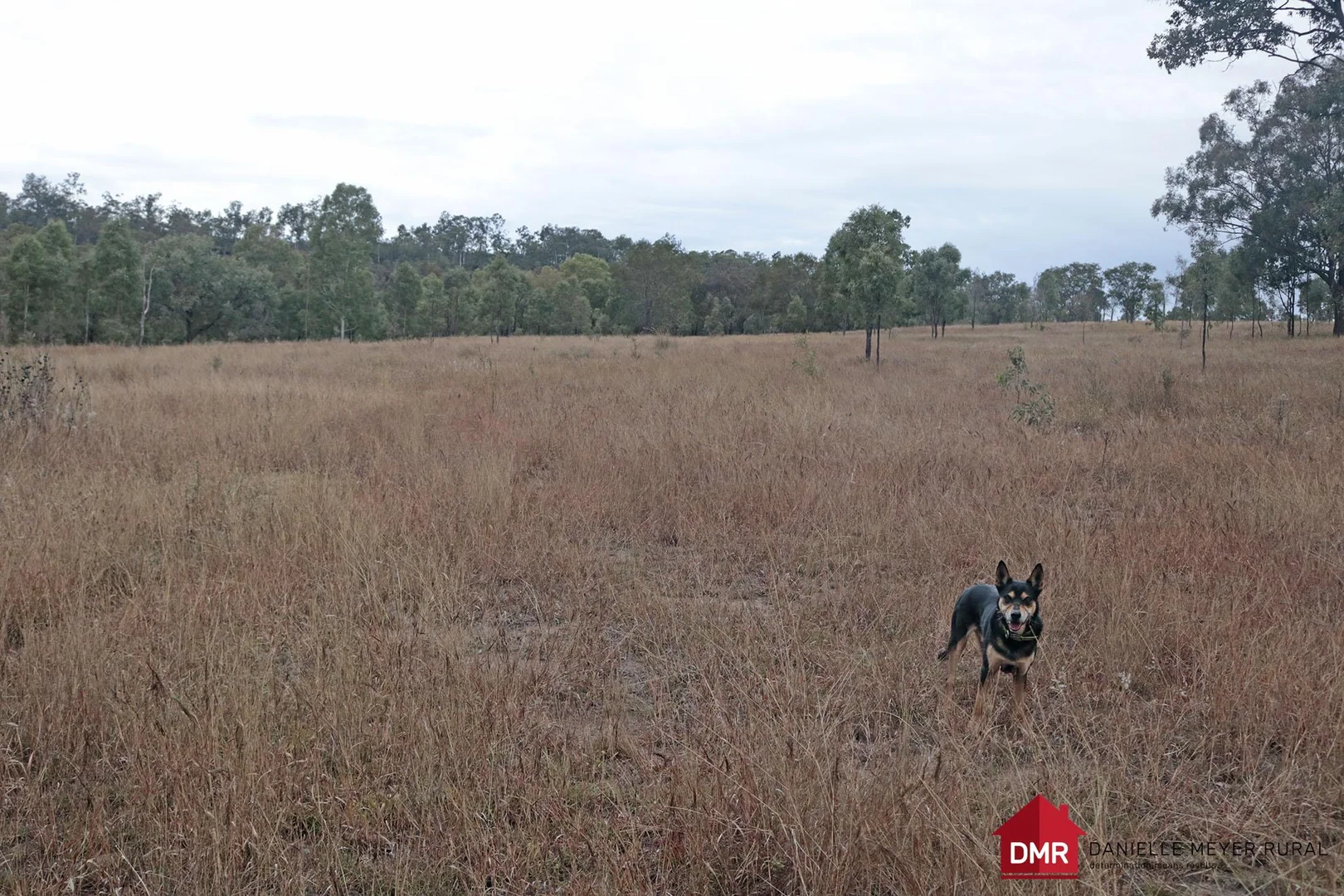 Additional image 5 of Lot 33-35 Bilboolan Road, Eidsvold QLD 4627