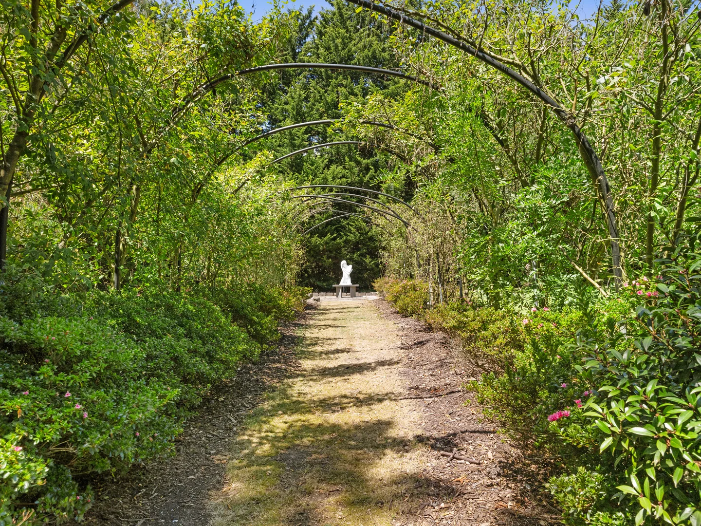 Additional image 31 of 48 Desmond Road, Wattle Bank VIC 3995