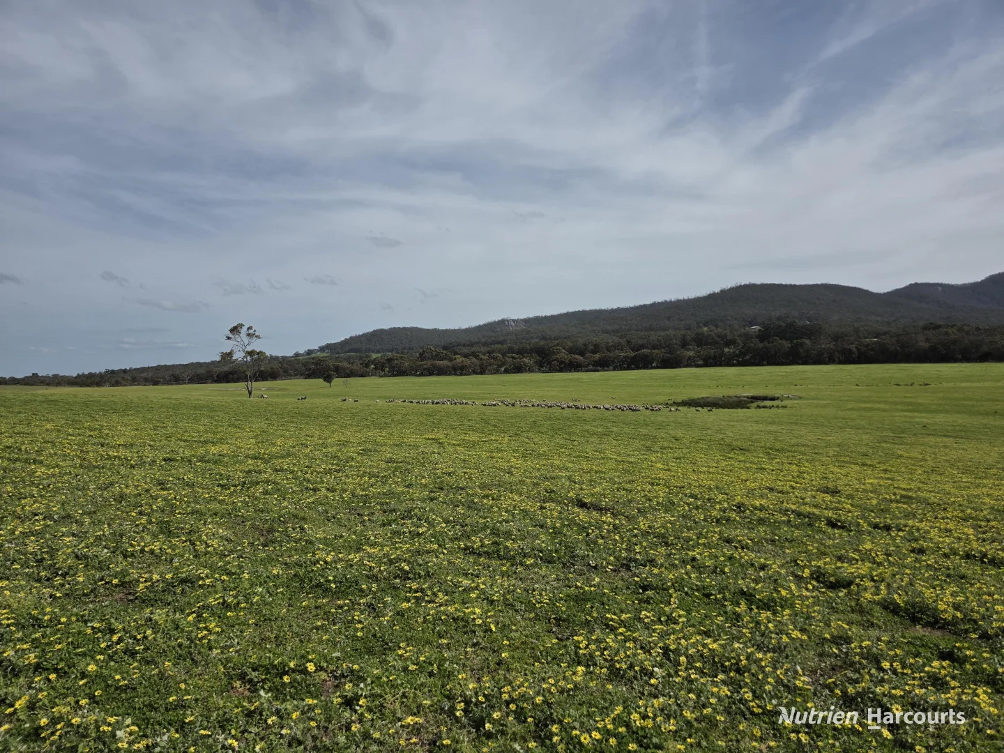 Additional image 57 of 4038 & 4184 Chesterpass Road, Takalarup WA 6324