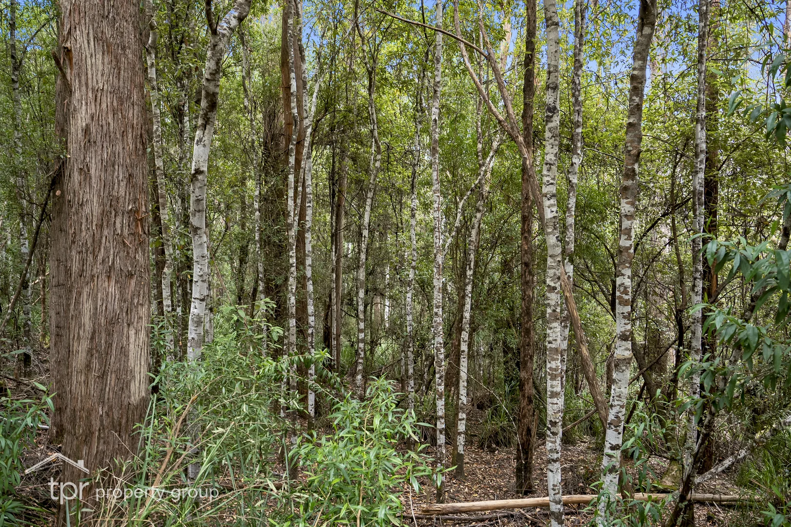 Additional image 4 of Lot 2 Kermandie River Road, Geeveston TAS 7116