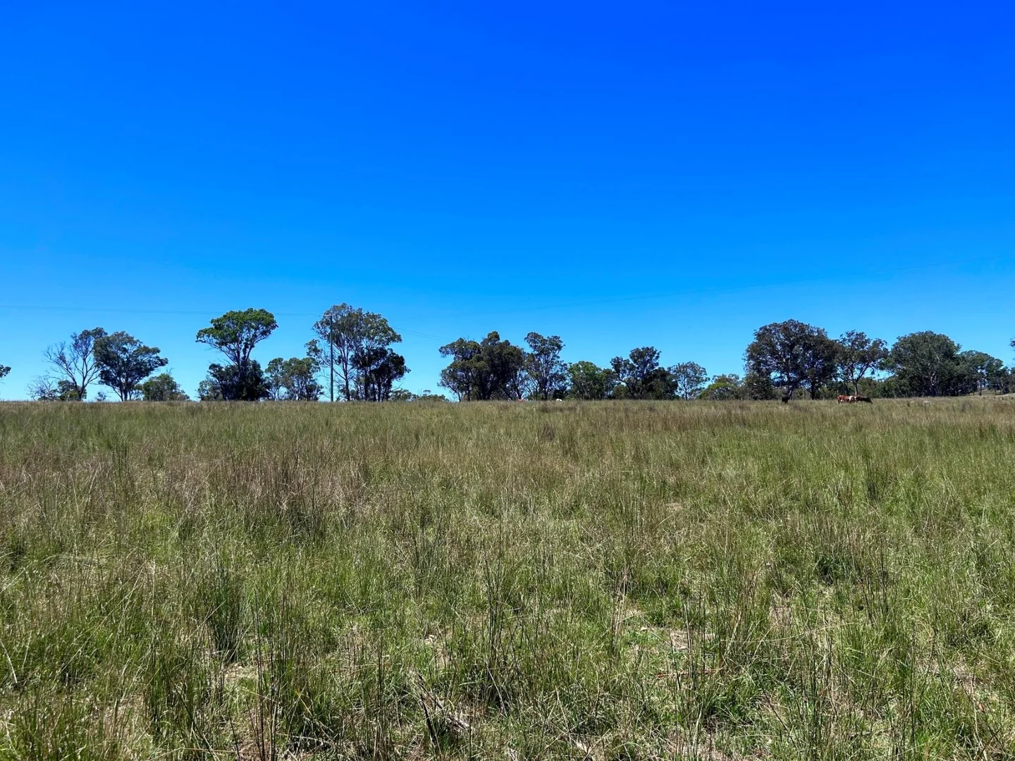 Additional image 4 of Lot 322 Jenkyn Lane, Uralla NSW 2358