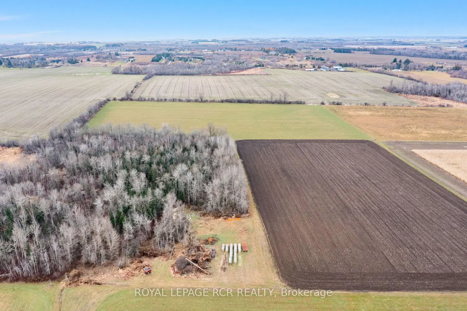 Additional image 19 of 553456 Mono Amaranth Townline