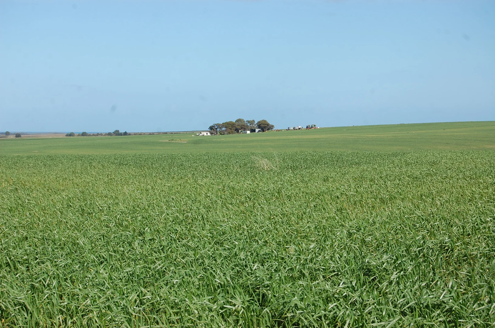 Additional image 5 of 1715 Coxalll Road, Munglinup WA 6450