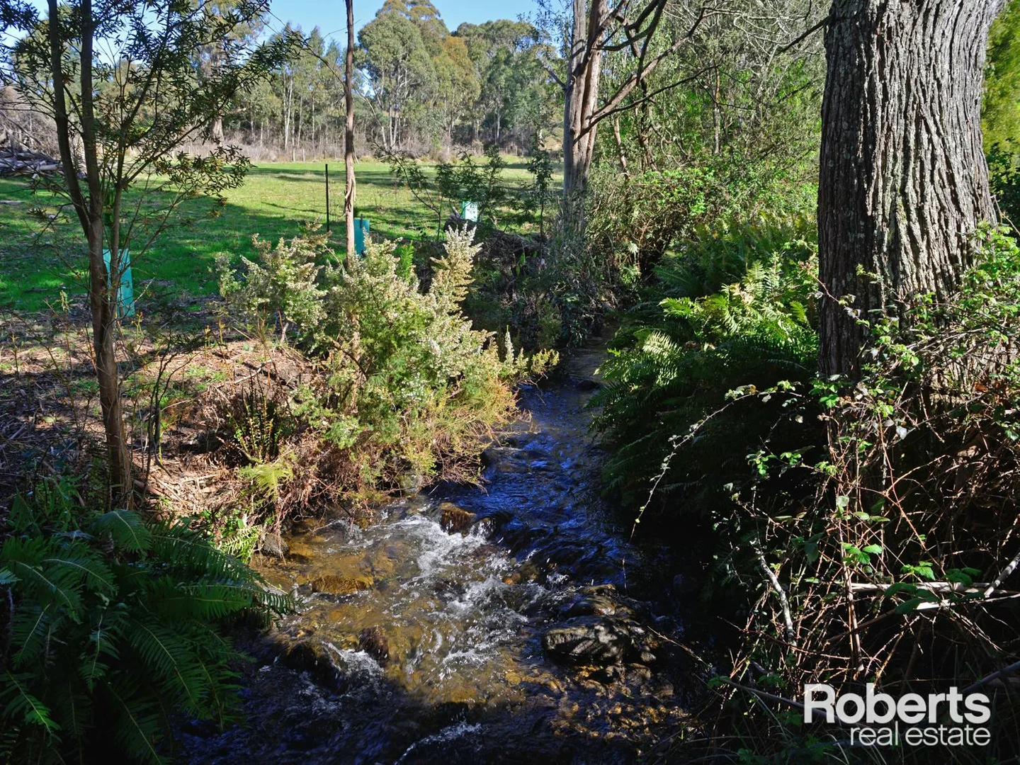 Additional image 22 of 111 Dillons Road, Ellendale TAS 7140