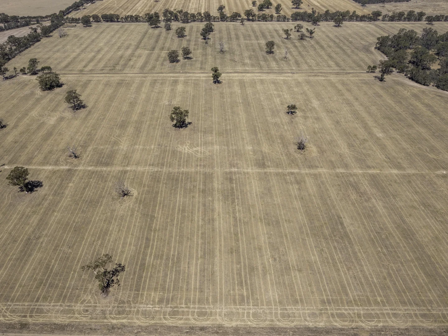 Additional image 13 of 740 Boland Road, Boorhaman VIC 3678