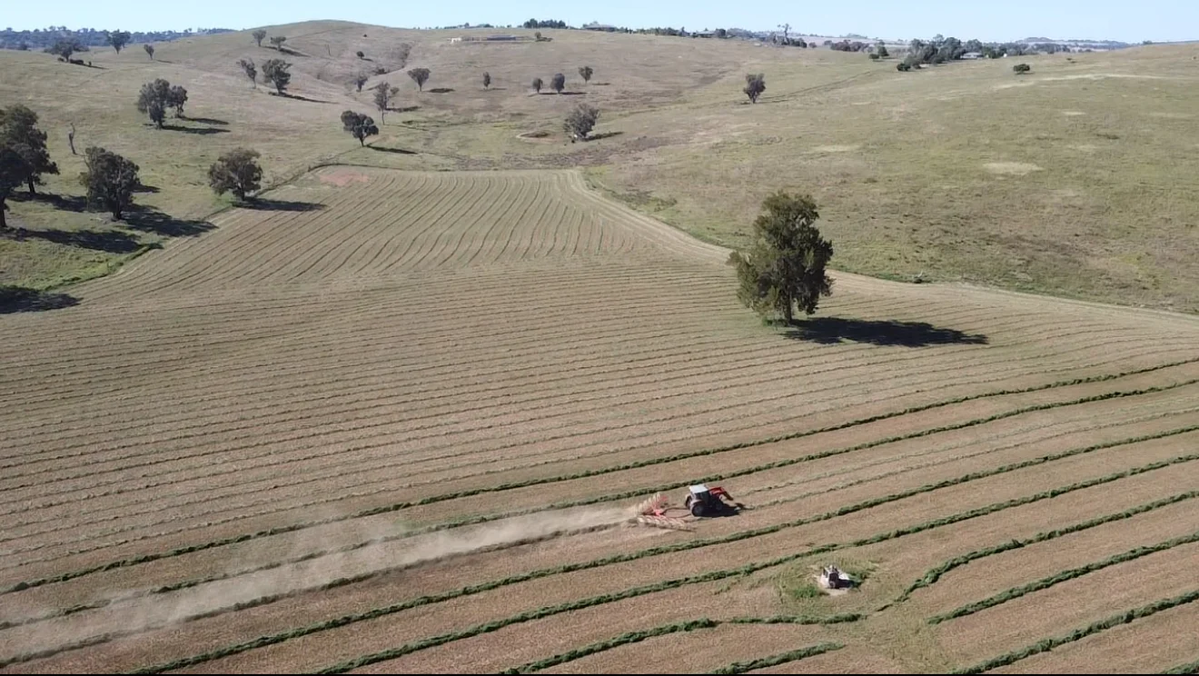 Additional image 16 of 2350 George Russell Drive, Canowindra NSW 2804