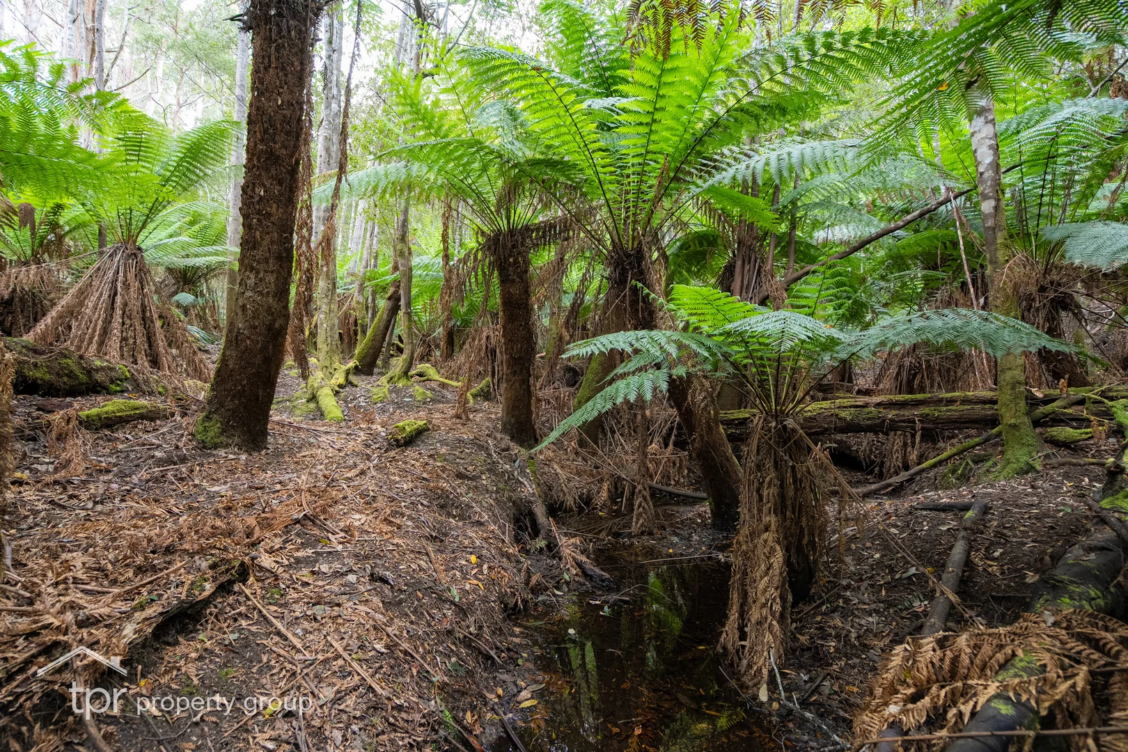 Additional image 18 of Lot 1 Cairns Road, Surges Bay TAS 7116