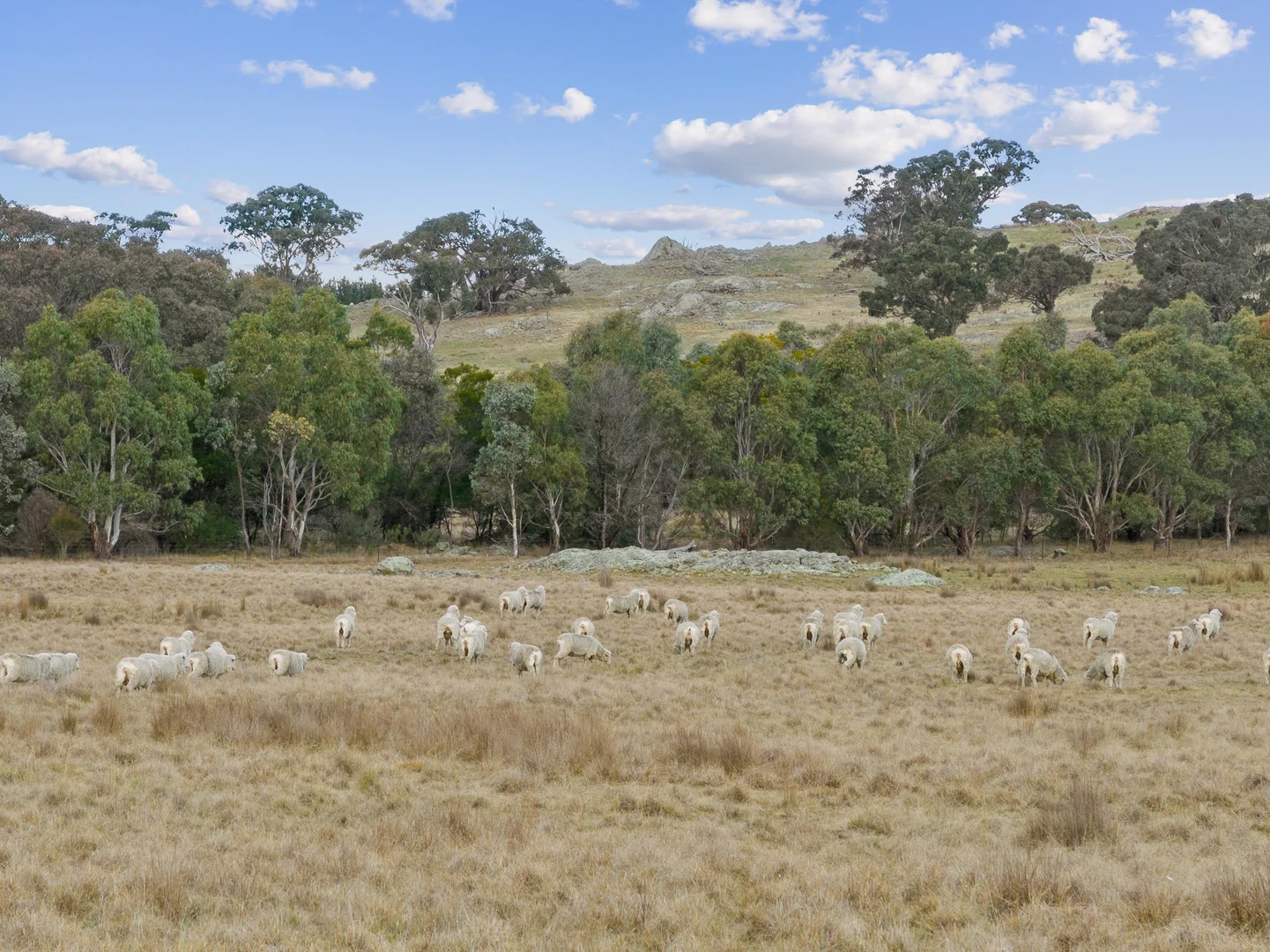 Additional image 2 of 1690 Cooks Hill Road, Yass NSW 2582