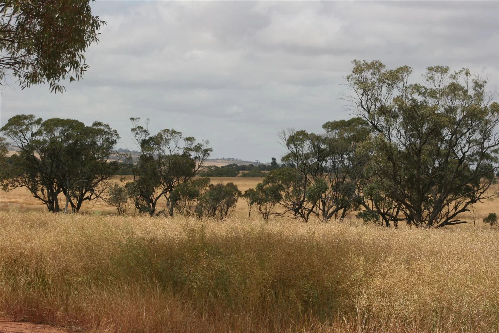 Additional image 2 of . Madews, Jennacubbine WA 6401