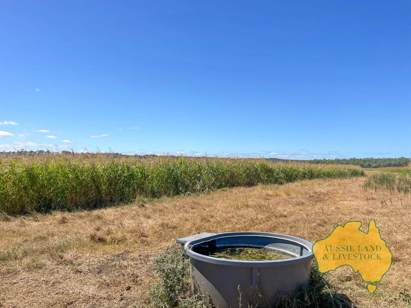 Additional image 59 of 629 Stuart Valley Drive, Haly Creek QLD 4610