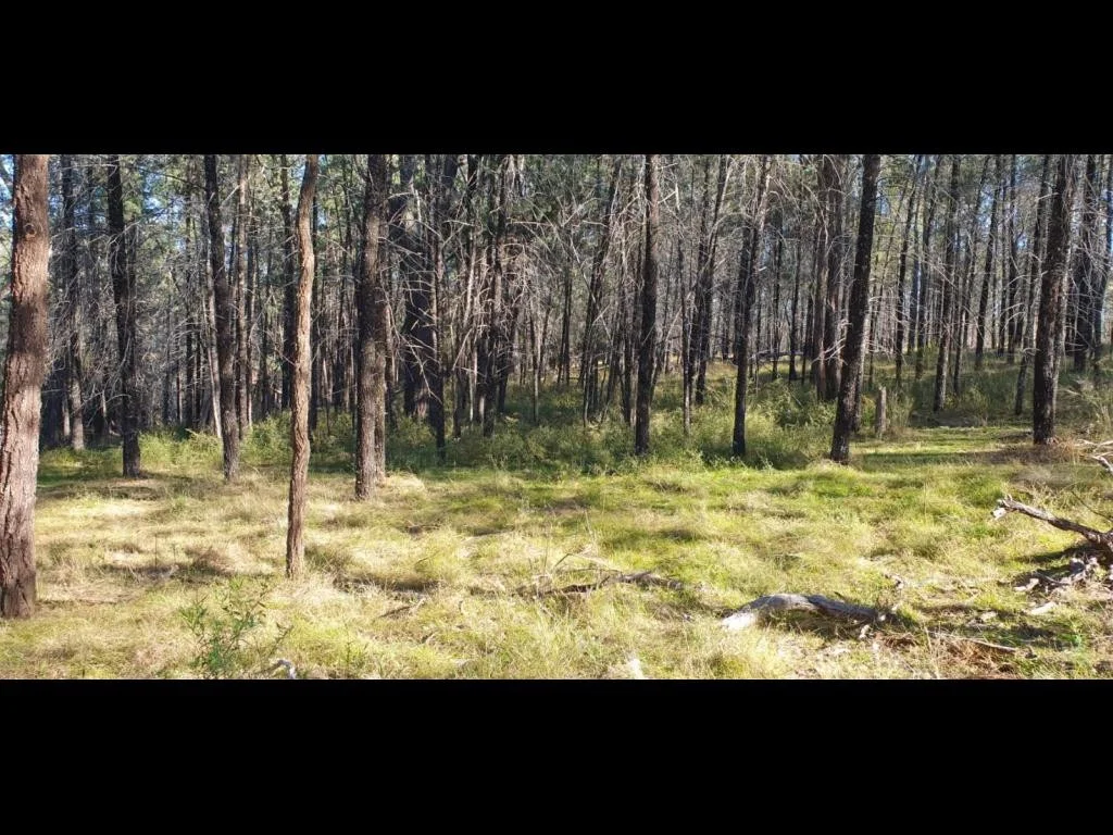 Additional image 8 of Limevale QLD 4384