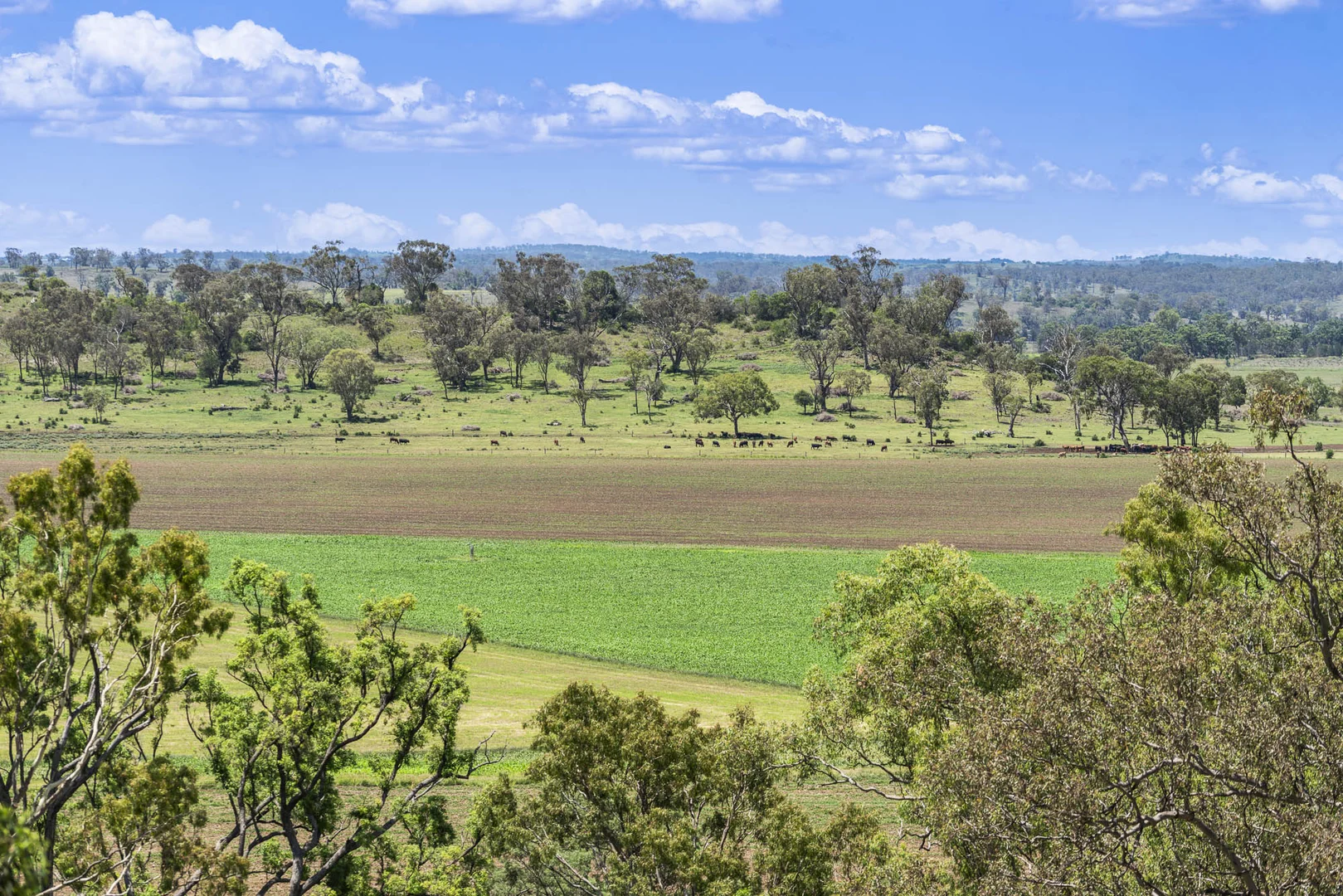 Additional image 23 of 197 Boodua-Meringandan Road, Muniganeen QLD 4352