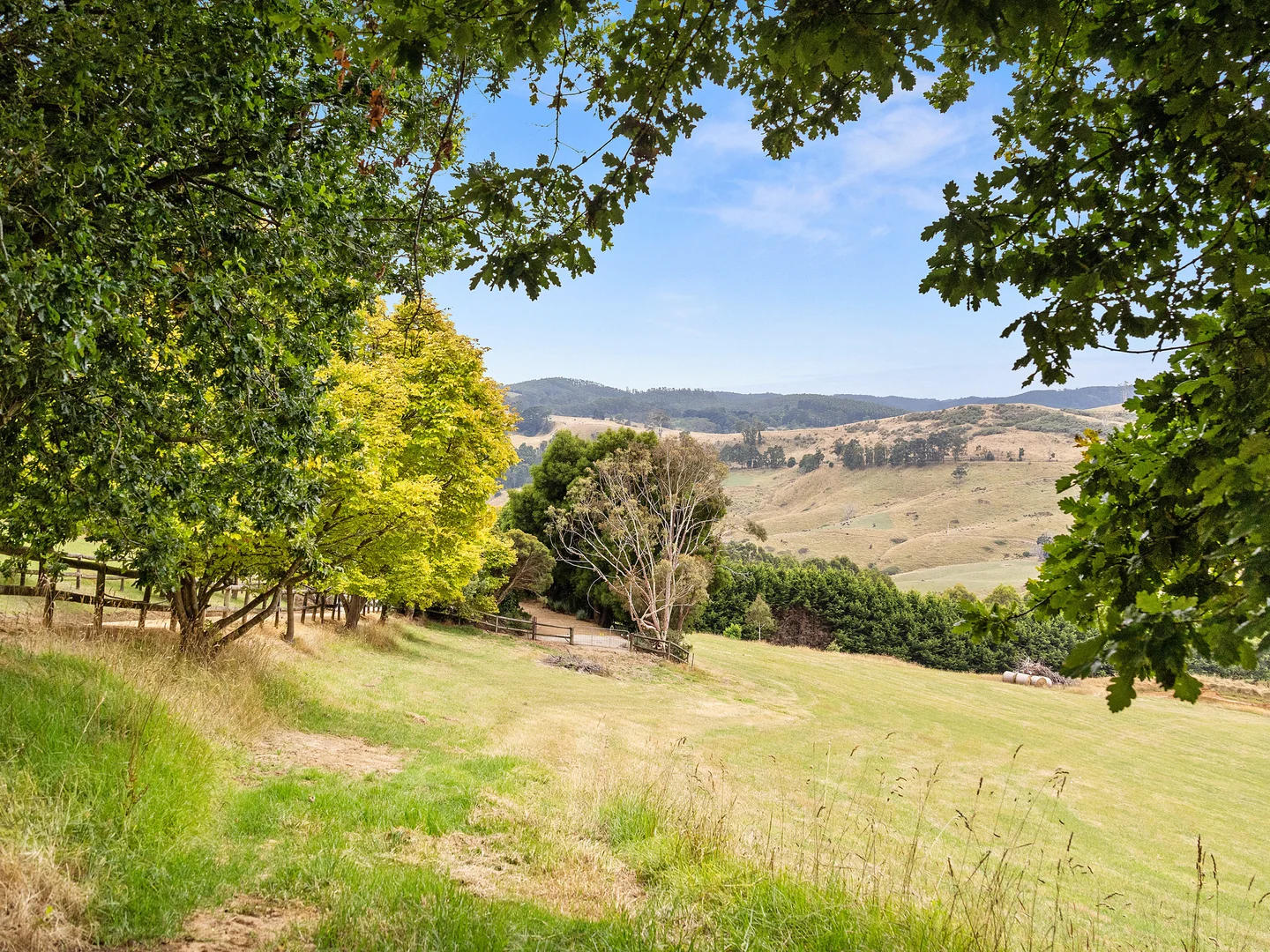 Additional image 19 of 2625 Grand Ridge Road, Hallston VIC 3953