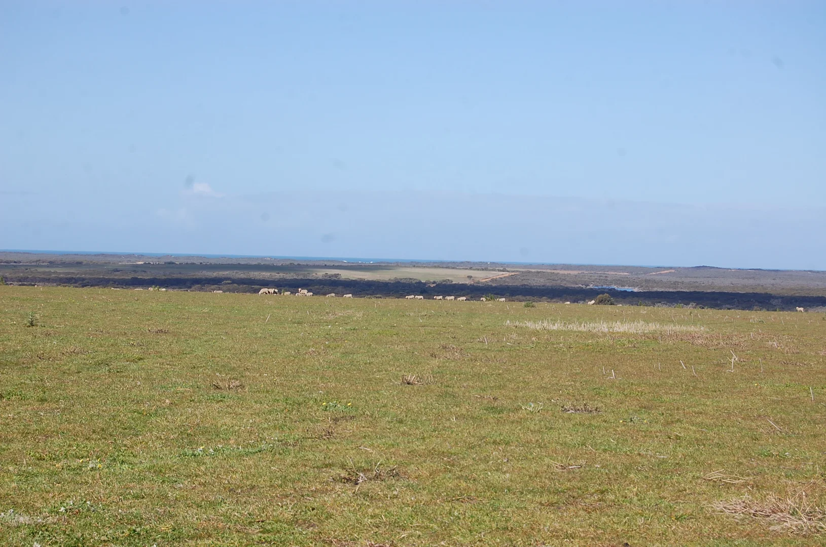 Additional image 3 of 1715 Coxalll Road, Munglinup WA 6450