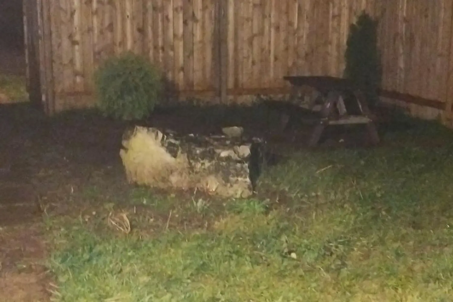 Additional image 20 of 23 Bluejay Court