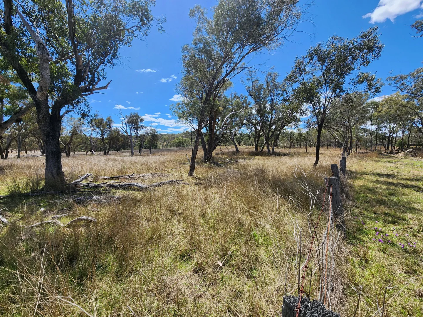 Additional image 3 of Lot 2 Stanthorpe Texas Road, Stanthorpe QLD 4380