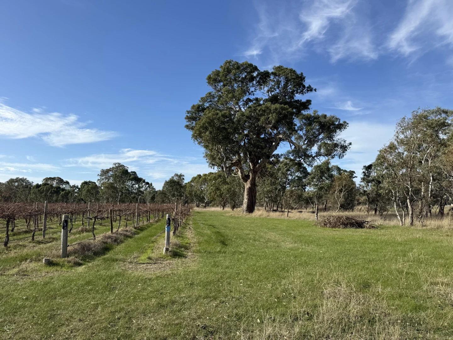 Additional image 7 of Lot 100 Dergholm Road, Penola SA 5277