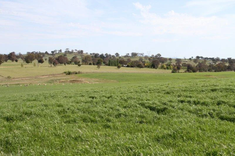 Additional image 6 of 3/83 Yass Valley Way, Manton NSW 2582