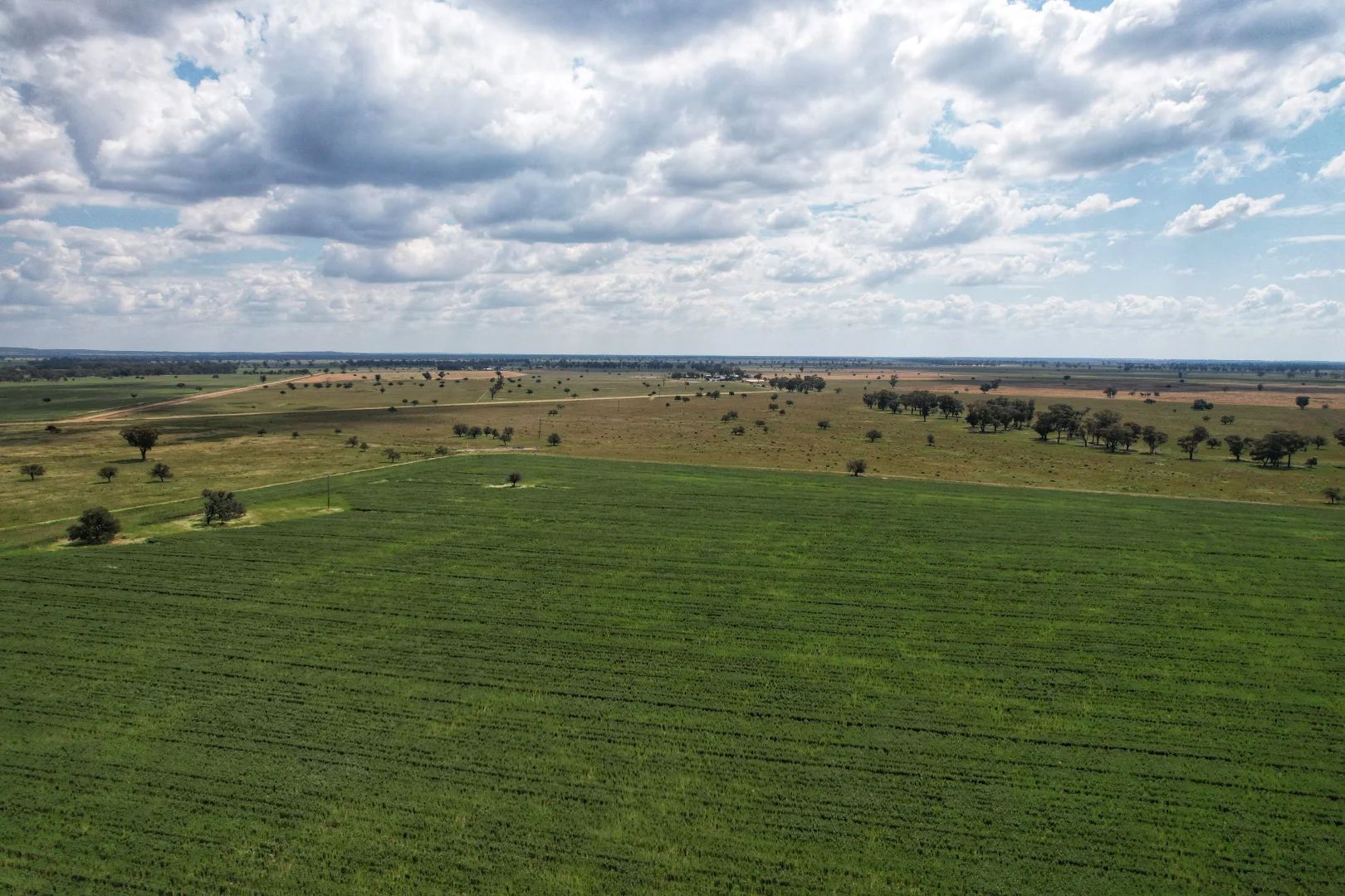 Additional image 12 of Part Rosewood Taweni Road, Peak Hill NSW 2869