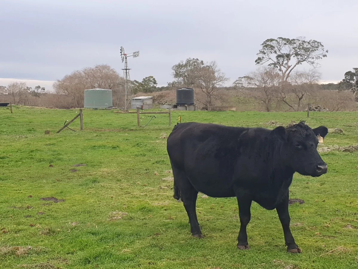 Additional image 8 of 546 Koallah Pomborneit Road, Koallah VIC 3260