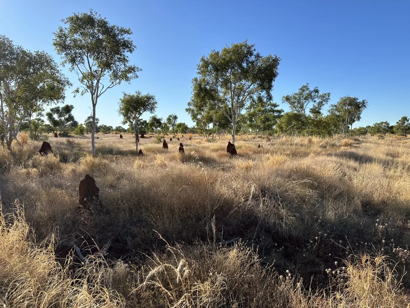 Additional image 27 of Benmara Station, Creswell NT 0852