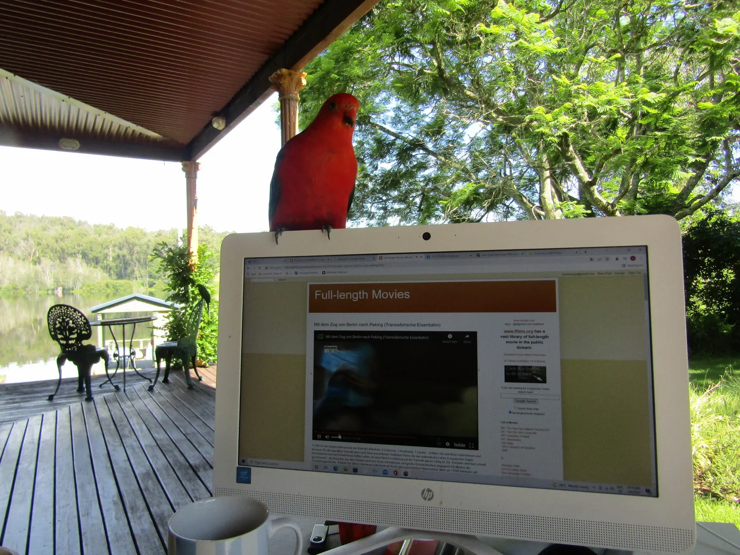 Additional image 23 of 35-39 Sproxton Lane, Nelligen NSW 2536