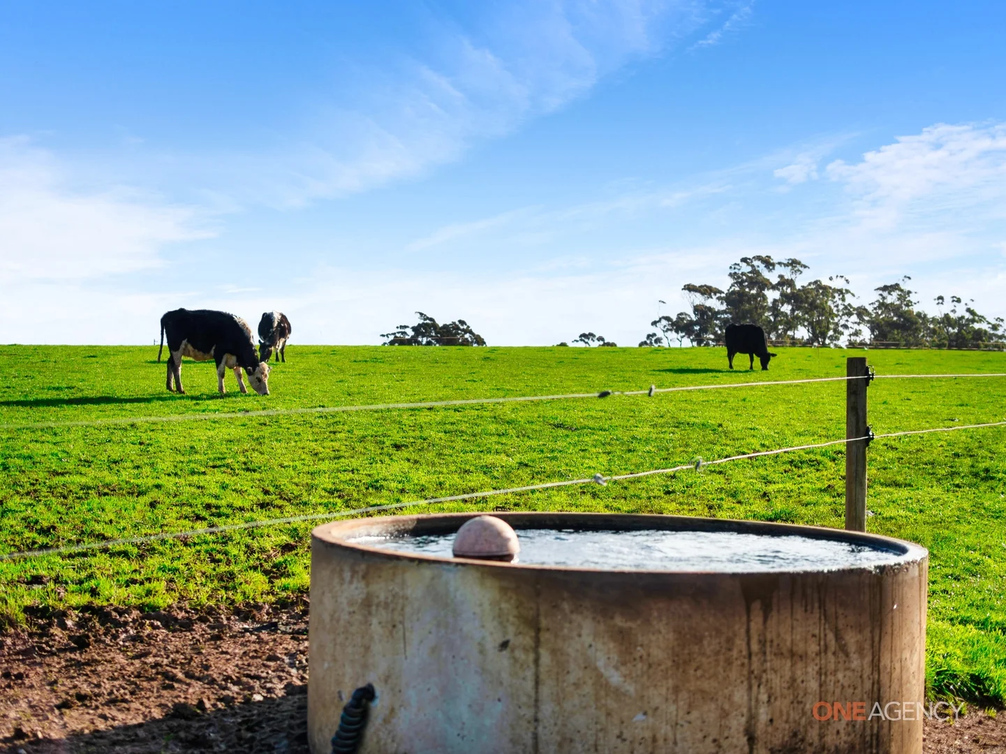 Additional image 13 of 450 Irishtown Road, Irishtown TAS 7330