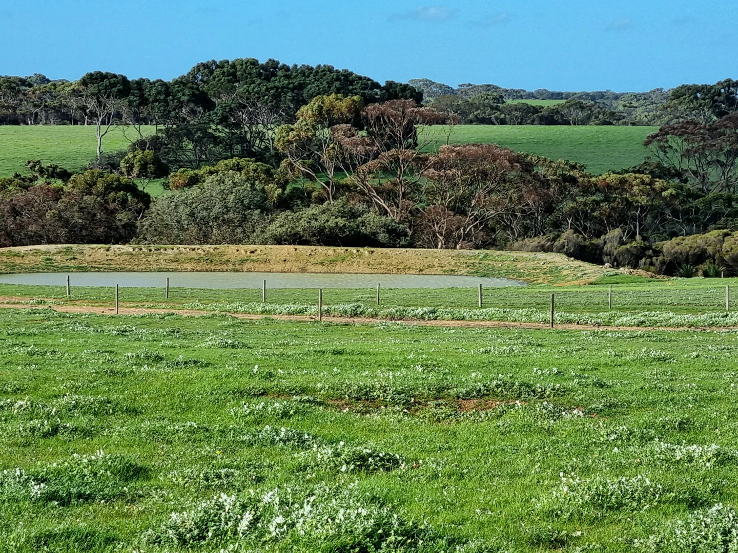 Additional image 14 of 958 Crabbs Road, Newland SA 5223