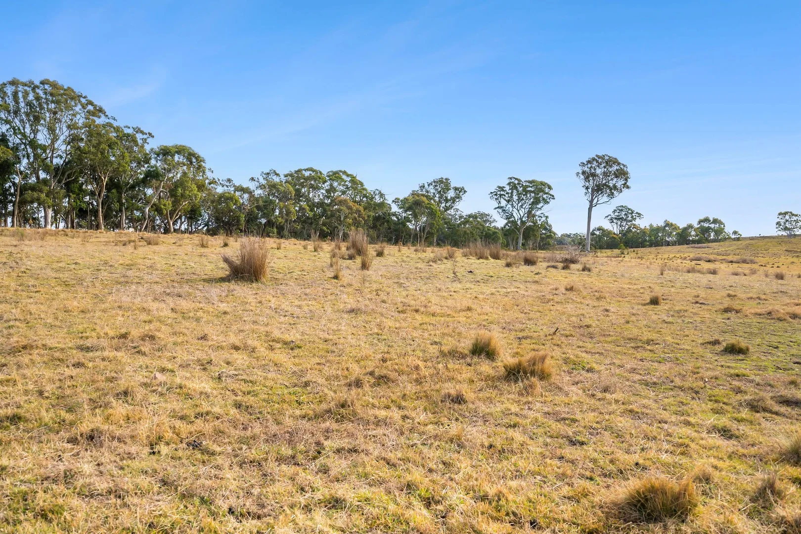 Additional image 8 of Part 2044 Taralga Road, Tarlo NSW 2580