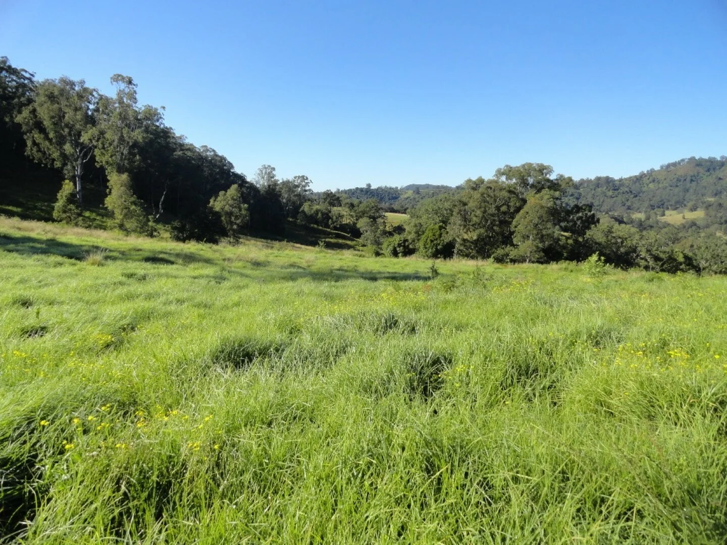 Additional image 5 of 1810 Afterlee Rd, Kyogle NSW 2474