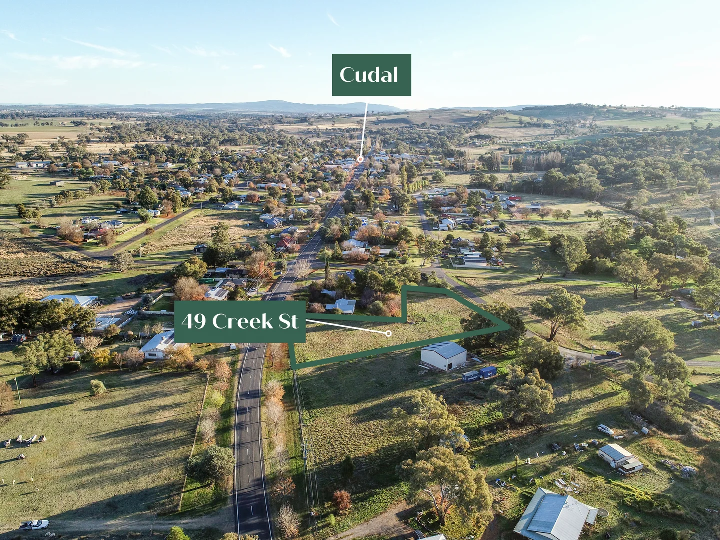 49 Creek Street, Cudal NSW 2864