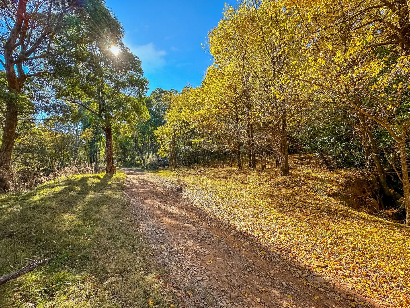 Additional image 6 of CA1/SEC 5 Buckland River Track, Buckland VIC 3740