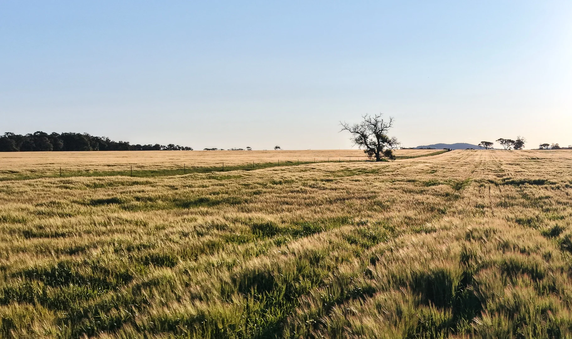 Additional image 15 of 491 Knight Road, Porongurup WA 6324