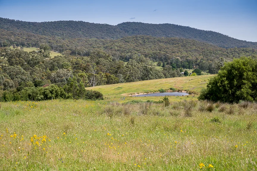 Additional image 9 of Lots 4 & 8 Tatong-Tolmie Rd, Tatong VIC 3673