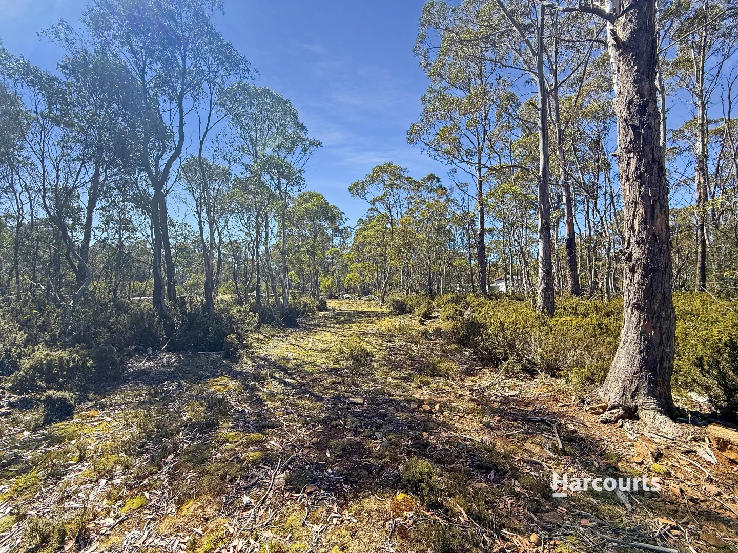 Additional image 6 of 711 Arthurs Lake Road, Arthurs Lake TAS 7030