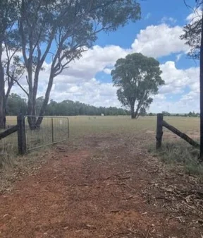 Additional image 6 of 9 Everton Road, Gilgandra NSW 2827