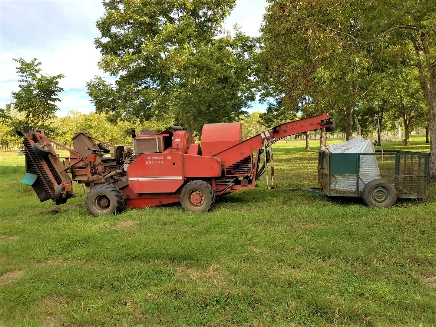 Additional image 22 of 139 Homestead Road, Kyogle NSW 2474