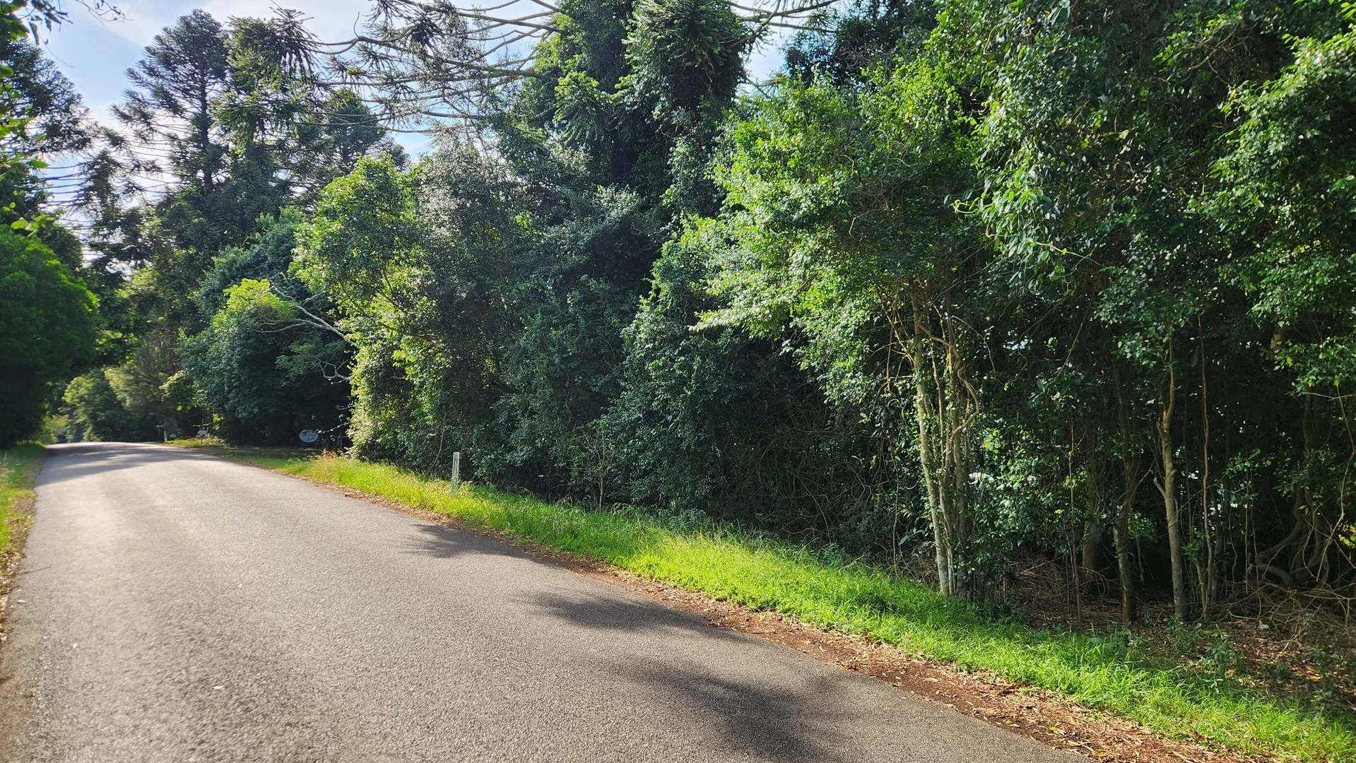 Additional image 3 of 3366 Bunya Mountains Road, Bunya Mountains QLD 4405