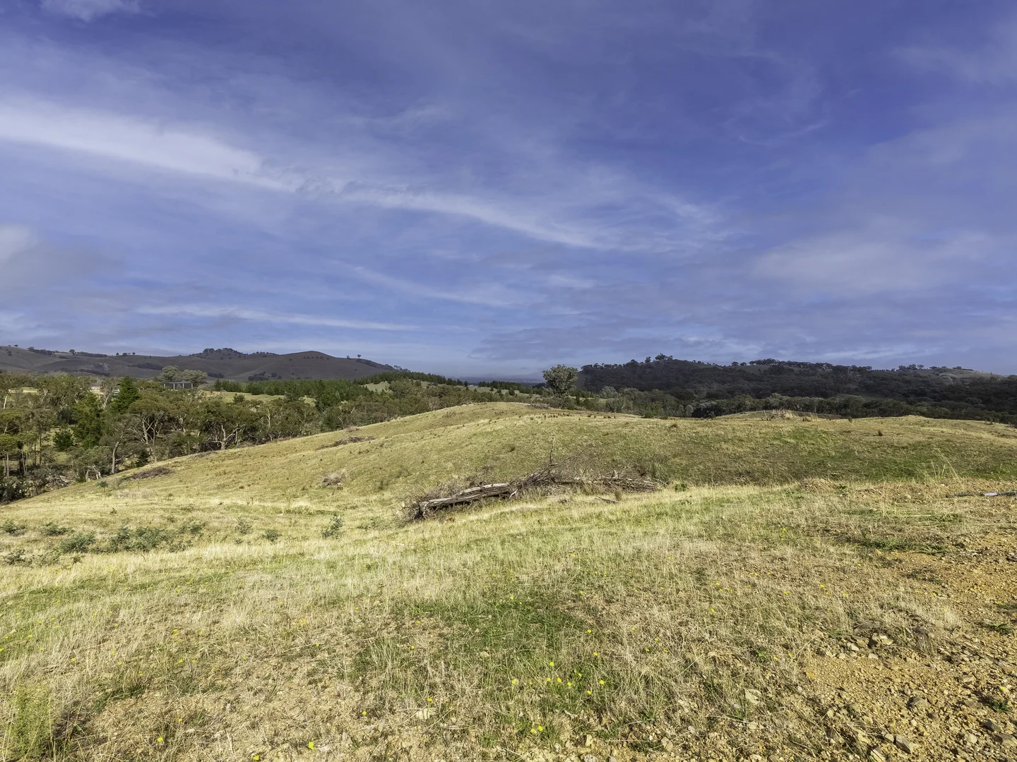 Additional image 21 of 613 Diffey Road, Everton VIC 3678