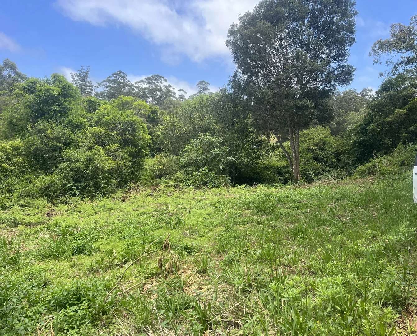 Additional image 10 of 173 Knodingbul Forest Road, Mount George NSW 2424