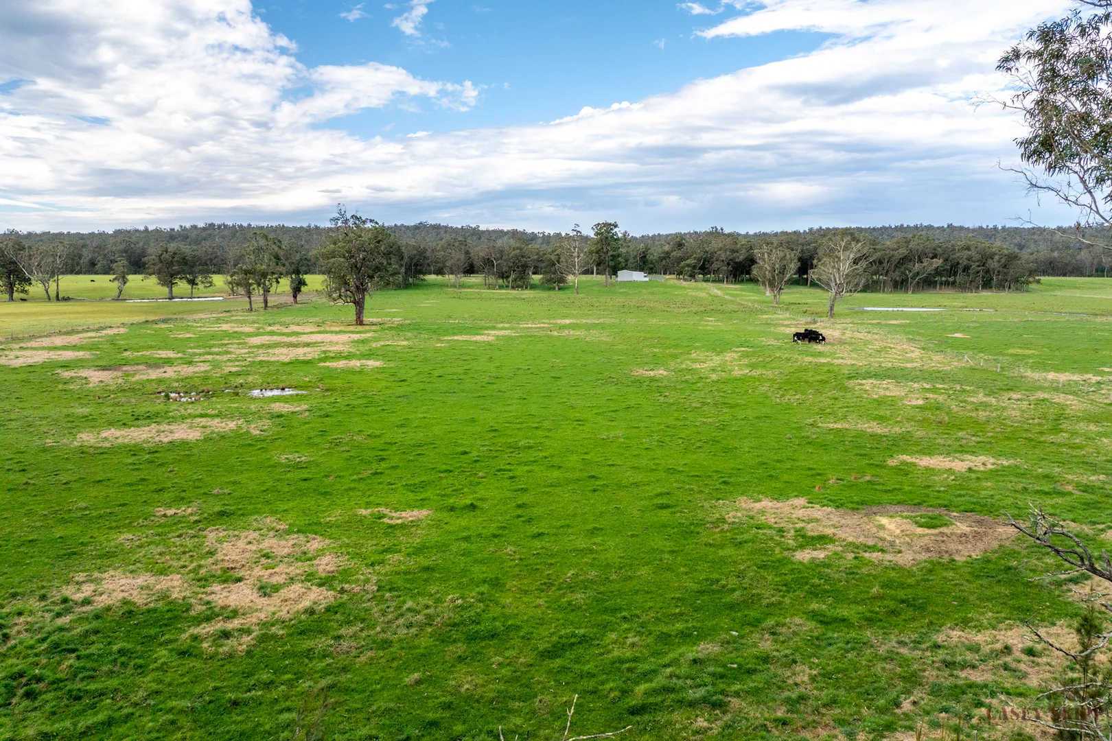 Additional image 13 of 366 Wairewa Road, Wairewa VIC 3887