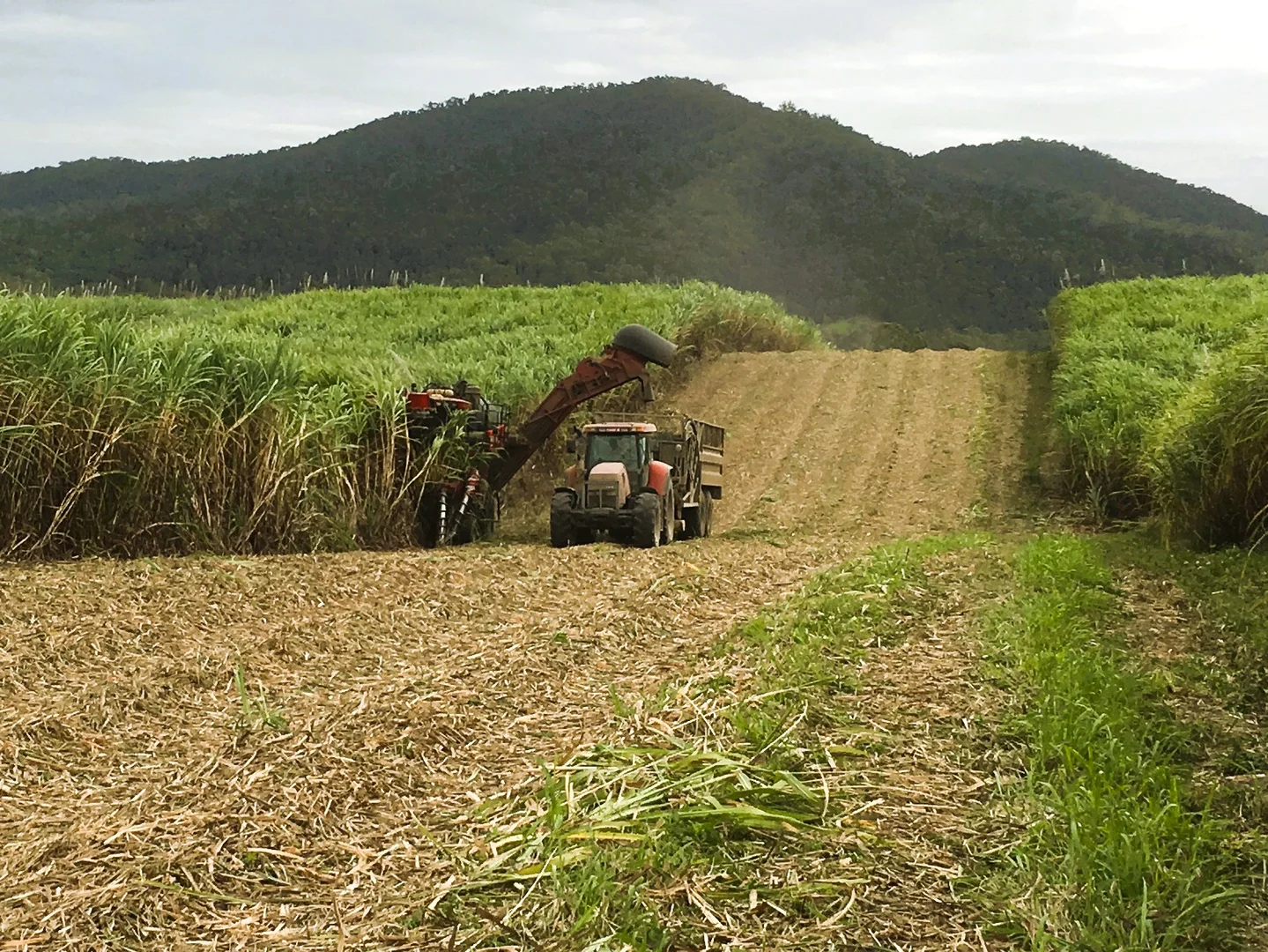 Additional image 6 of Lot 21 241 Wintons Road, Yalboroo QLD 4741