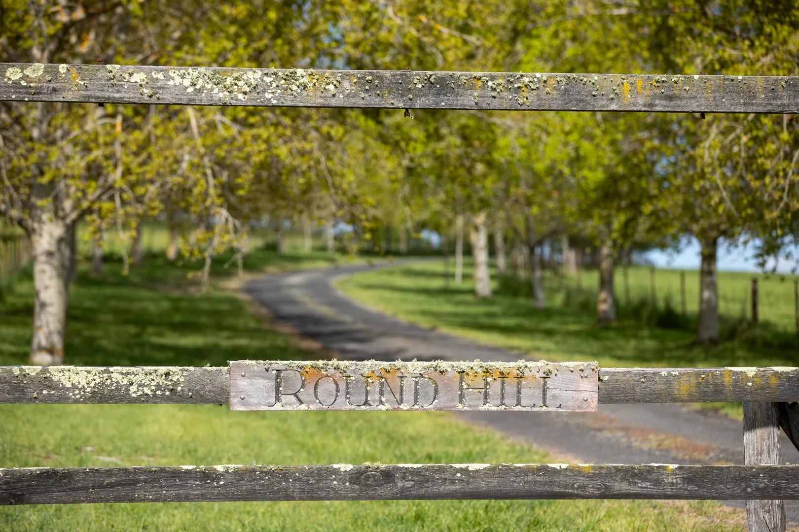 Additional image 2 of 191 Thunderbolts Way, Walcha NSW 2354