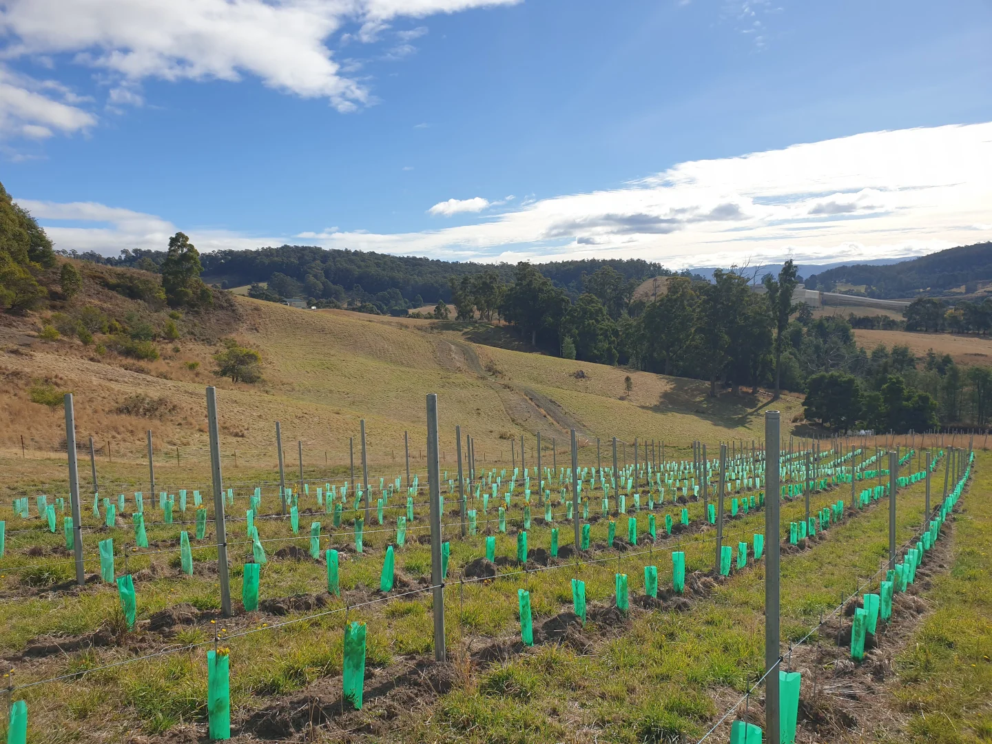 Additional image 6 of Lot 1 Wallace Road, Cygnet TAS 7112