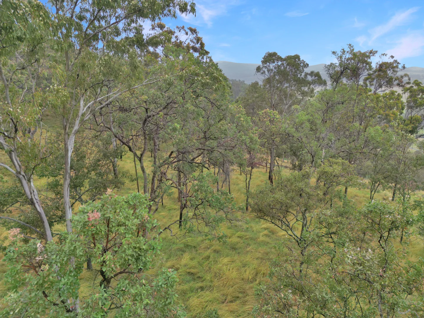 Additional image 8 of 524 Plains Station Road, Tabulam NSW 2469